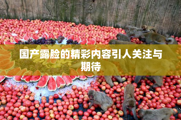 国产露脸的精彩内容引人关注与期待