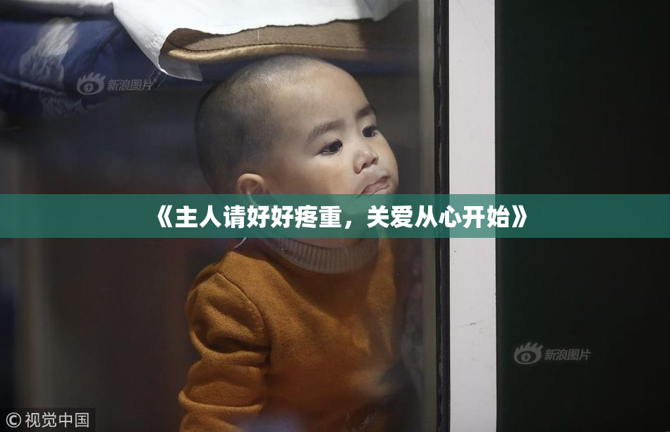 《主人请好好疼重，关爱从心开始》