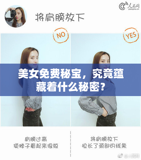 美女免费秘宝，究竟蕴藏着什么秘密？