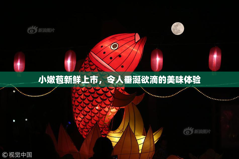 小嫩苞新鲜上市，令人垂涎欲滴的美味体验
