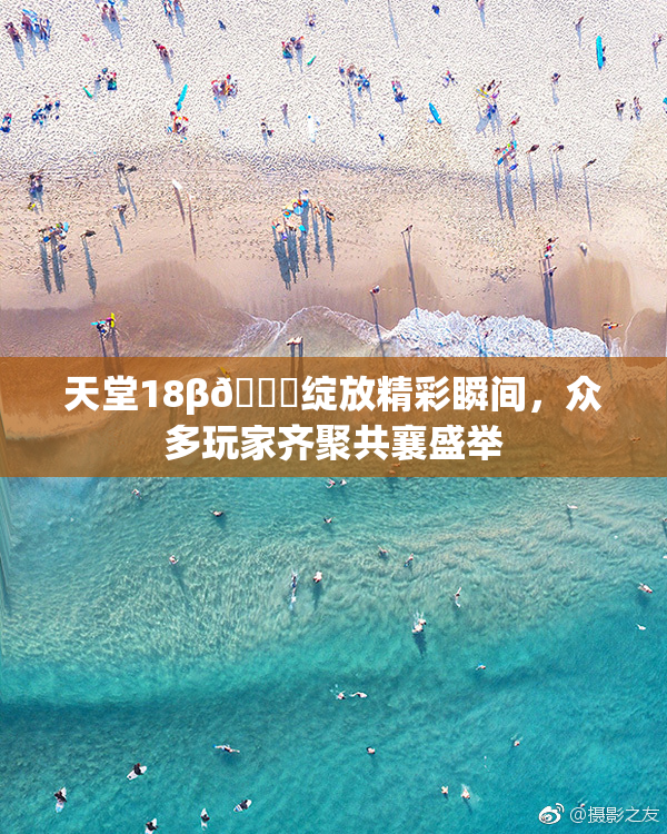 天堂18β🍆绽放精彩瞬间，众多玩家齐聚共襄盛举
