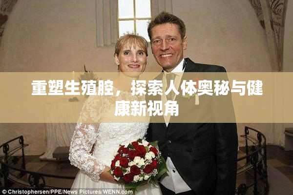 重塑生殖腔，探索人体奥秘与健康新视角
