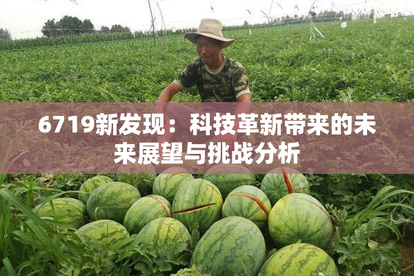 6719新发现：科技革新带来的未来展望与挑战分析