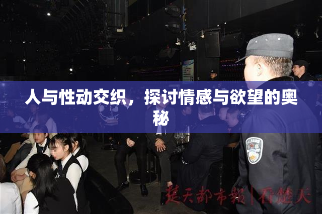 人与性动交织，探讨情感与欲望的奥秘