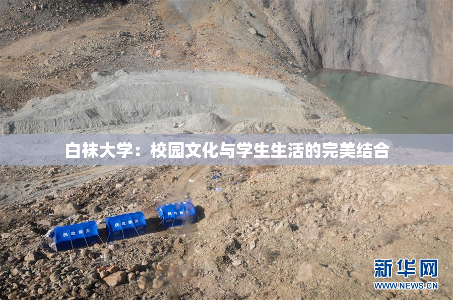 白袜大学：校园文化与学生生活的完美结合