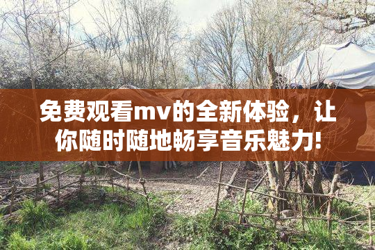 免费观看mv的全新体验，让你随时随地畅享音乐魅力!