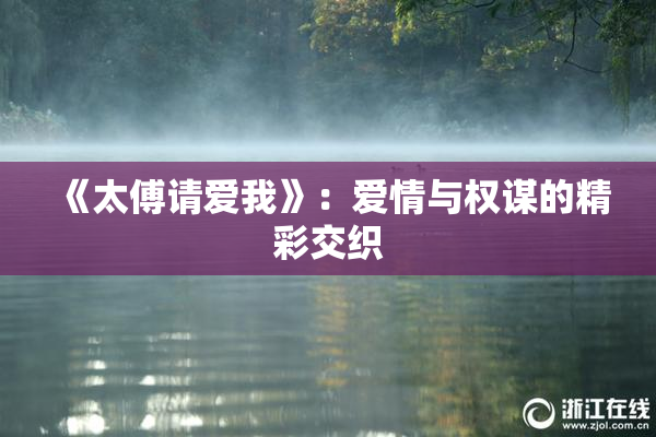 《太傅请爱我》：爱情与权谋的精彩交织