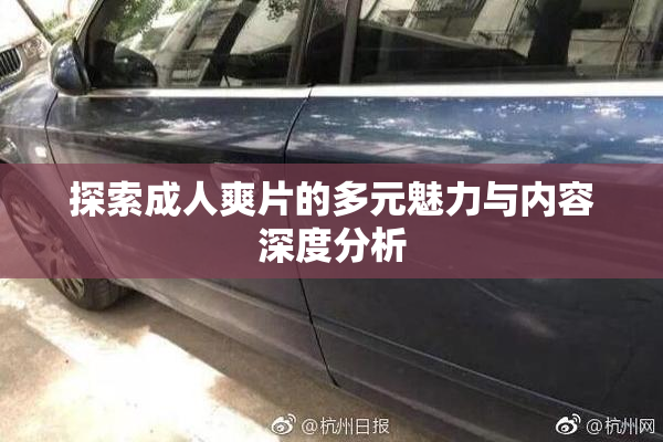 探索成人爽片的多元魅力与内容深度分析