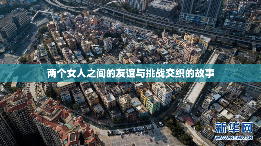 两个女人之间的友谊与挑战交织的故事
