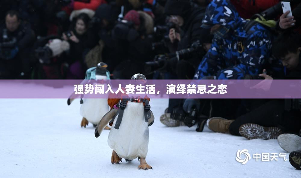 强势闯入人妻生活，演绎禁忌之恋