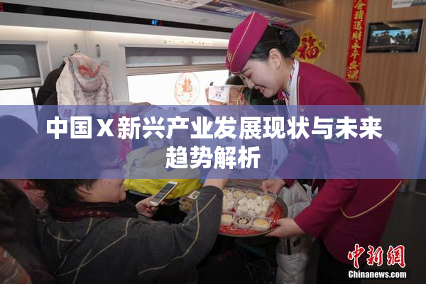 中国Ⅹ新兴产业发展现状与未来趋势解析