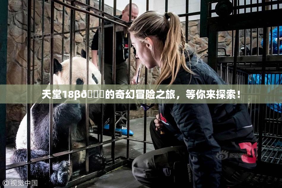 天堂18β🍆的奇幻冒险之旅，等你来探索！