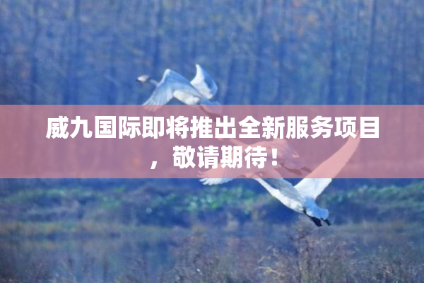 威九国际即将推出全新服务项目，敬请期待！