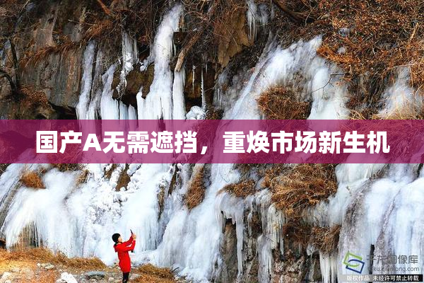 国产A无需遮挡，重焕市场新生机
