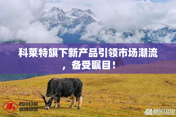 科莱特旗下新产品引领市场潮流，备受瞩目！