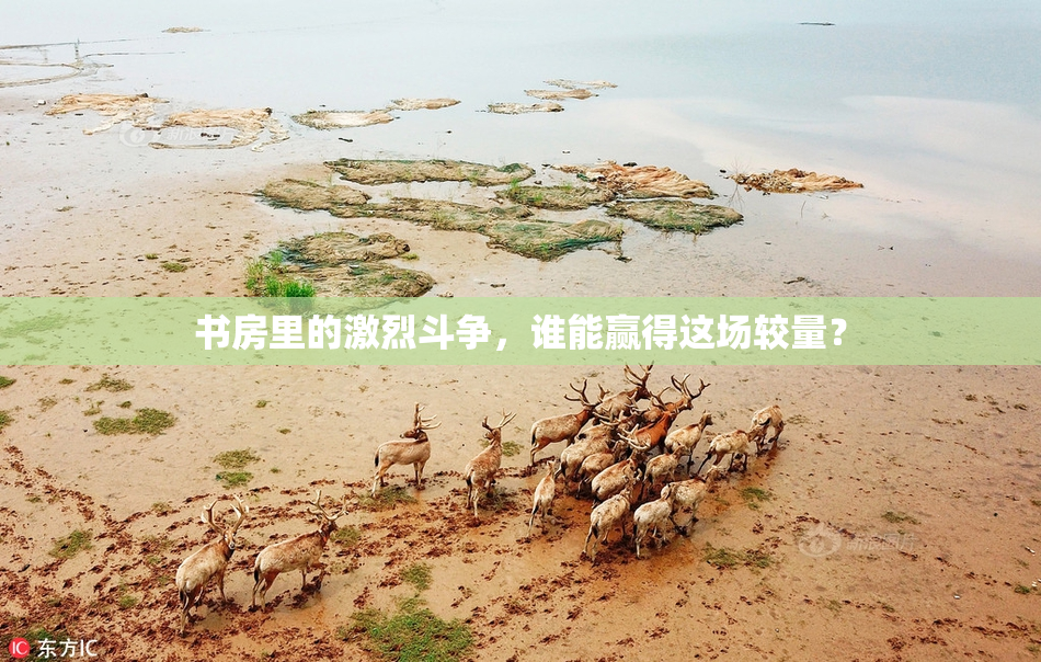 书房里的激烈斗争，谁能赢得这场较量？
