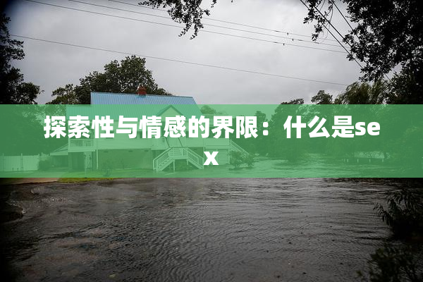 探索性与情感的界限：什么是sex