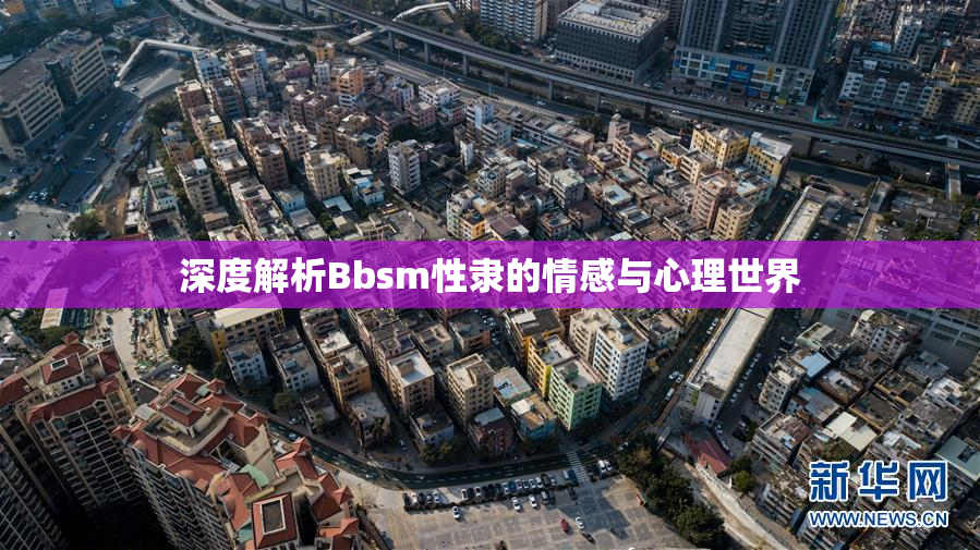 深度解析Bbsm性隶的情感与心理世界
