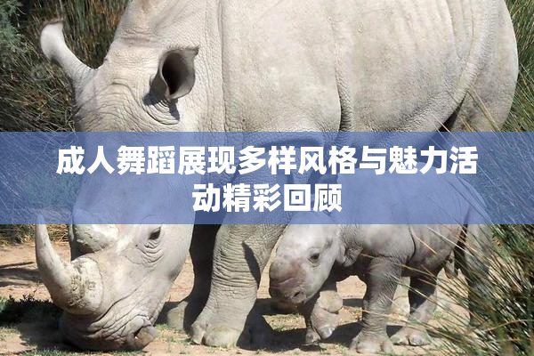 成人舞蹈展现多样风格与魅力活动精彩回顾