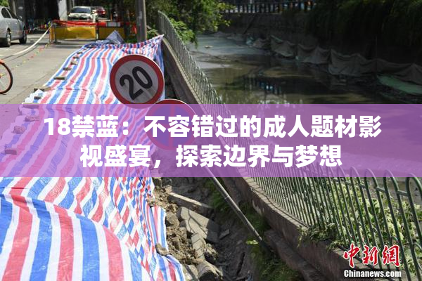 18禁蓝：不容错过的成人题材影视盛宴，探索边界与梦想