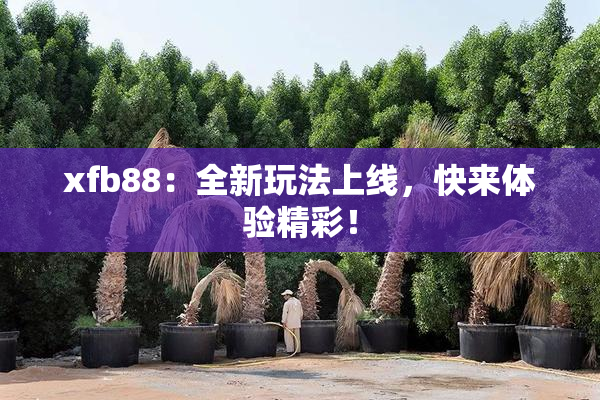 xfb88：全新玩法上线，快来体验精彩！