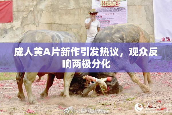 成人黄A片新作引发热议，观众反响两极分化