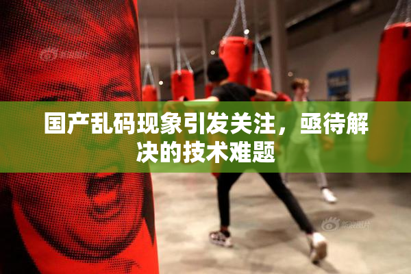 国产乱码现象引发关注，亟待解决的技术难题