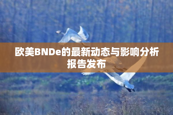 欧美BNDe的最新动态与影响分析报告发布