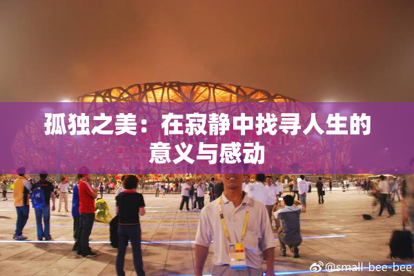 孤独之美：在寂静中找寻人生的意义与感动