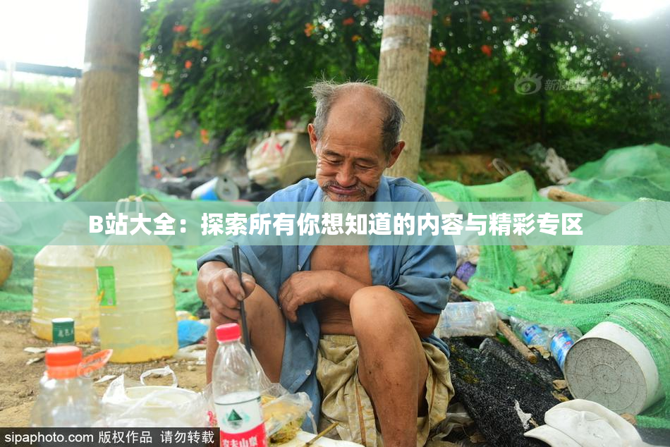 B站大全：探索所有你想知道的内容与精彩专区