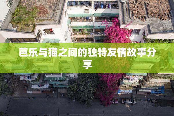芭乐与猫之间的独特友情故事分享