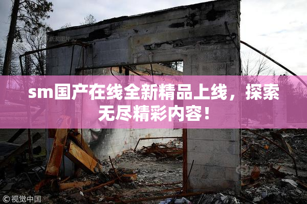 sm国产在线全新精品上线，探索无尽精彩内容！