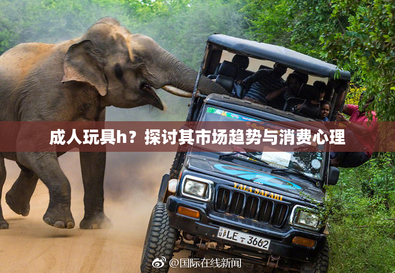 成人玩具h？探讨其市场趋势与消费心理