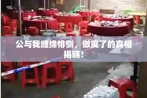 公与我缠绵悱恻，做爽了的真相揭晓！