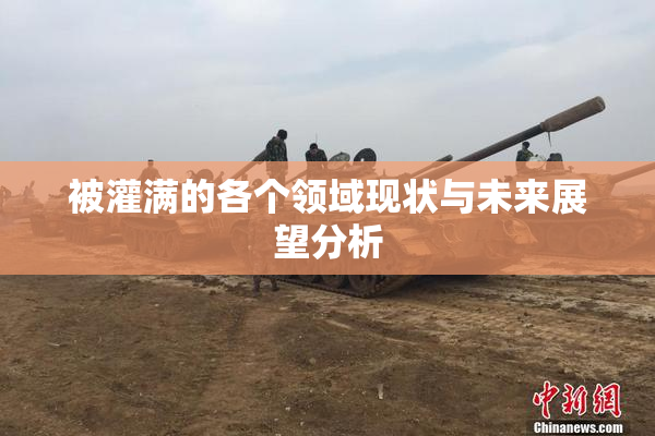 被灌满的各个领域现状与未来展望分析
