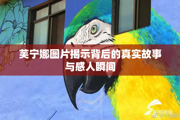 芙宁娜图片揭示背后的真实故事与感人瞬间