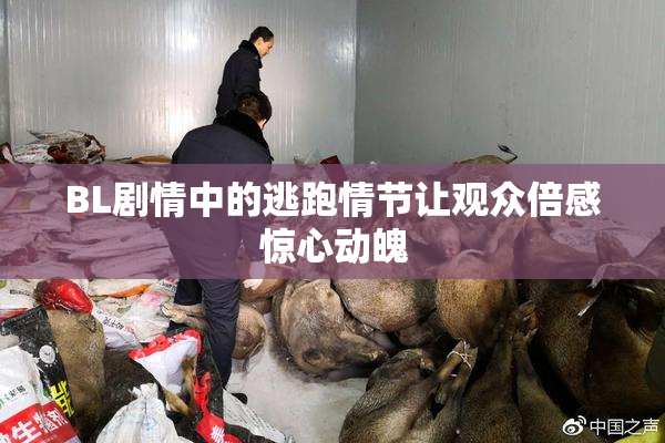 BL剧情中的逃跑情节让观众倍感惊心动魄