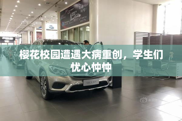 樱花校园遭遇大病重创，学生们忧心忡忡
