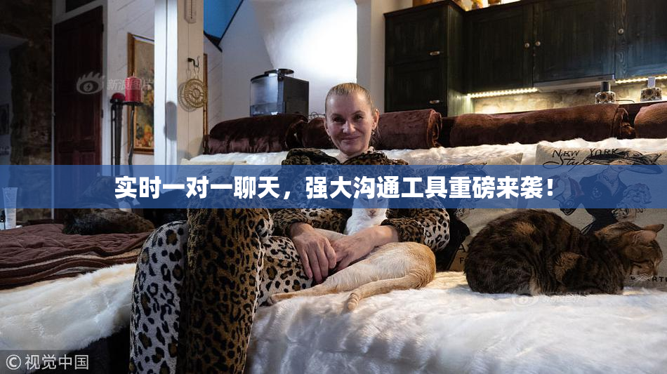 实时一对一聊天，强大沟通工具重磅来袭！