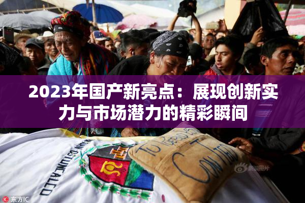 2023年国产新亮点：展现创新实力与市场潜力的精彩瞬间
