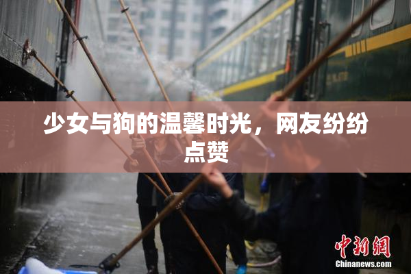 少女与狗的温馨时光，网友纷纷点赞