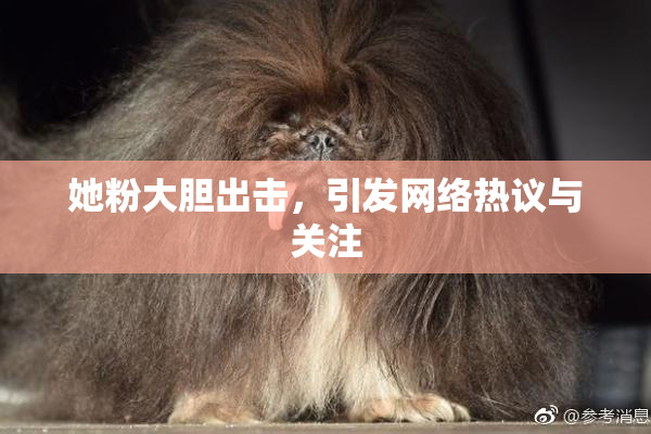 她粉大胆出击，引发网络热议与关注