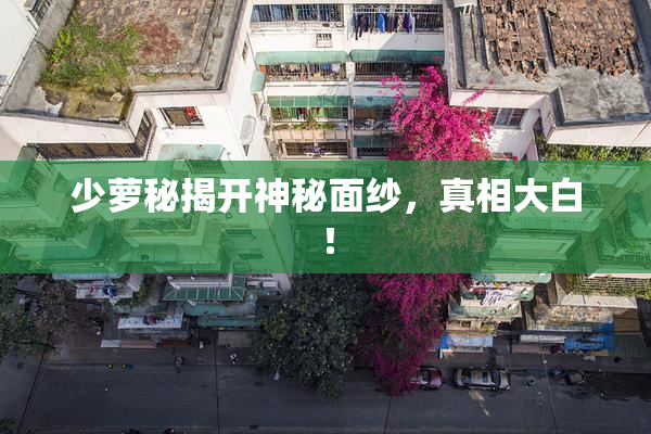 少萝秘揭开神秘面纱，真相大白！