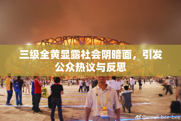 三级全黄显露社会阴暗面，引发公众热议与反思