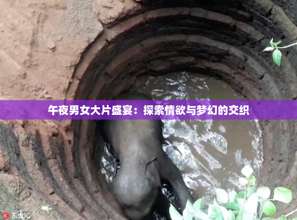午夜男女大片盛宴：探索情欲与梦幻的交织