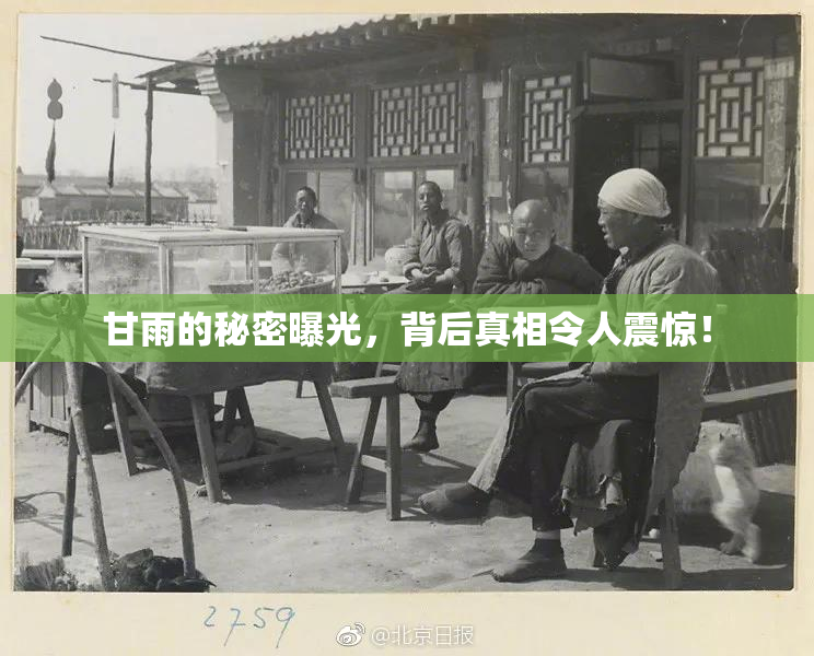 甘雨的秘密曝光，背后真相令人震惊！