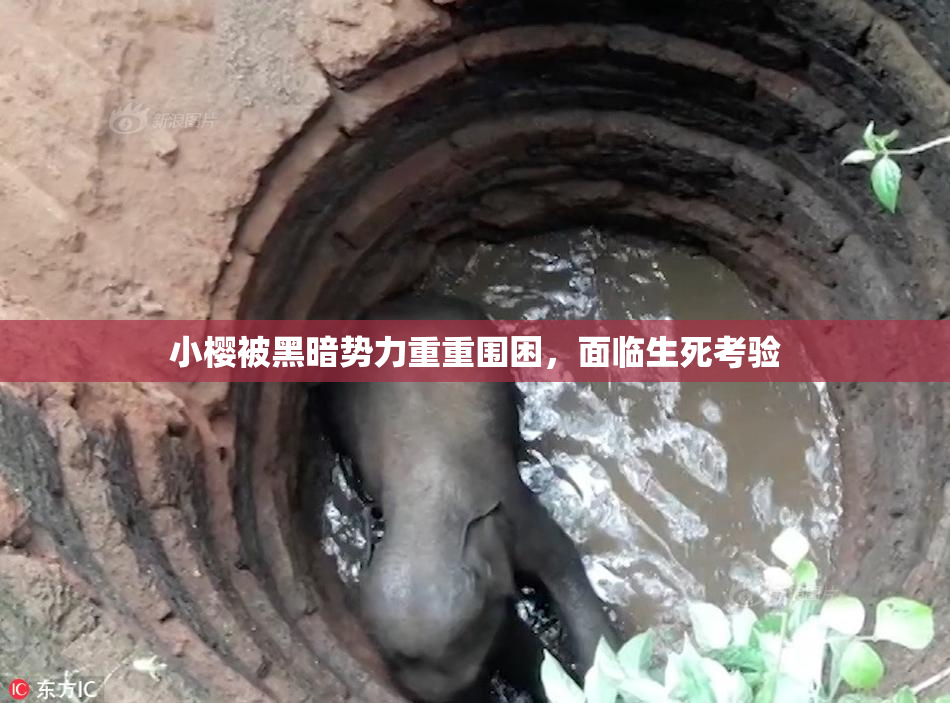 小樱被黑暗势力重重围困，面临生死考验