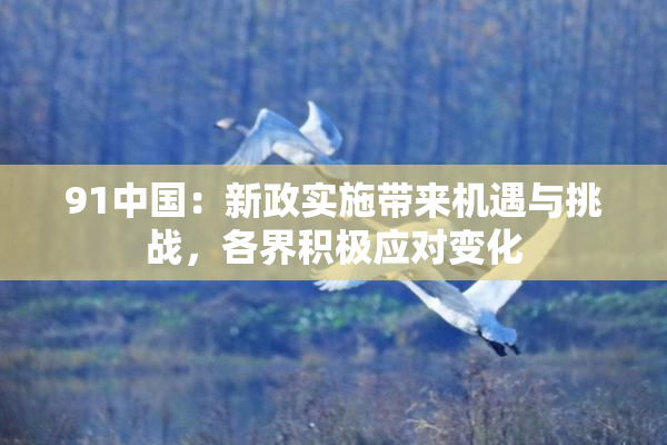 91中国：新政实施带来机遇与挑战，各界积极应对变化