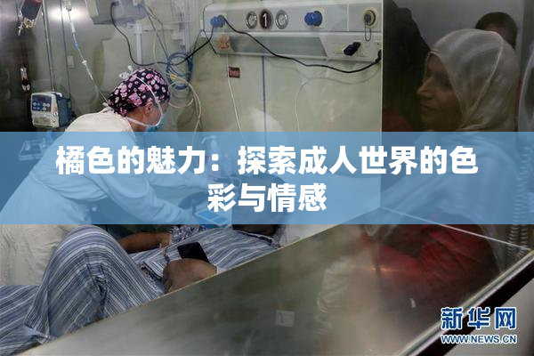 橘色的魅力：探索成人世界的色彩与情感