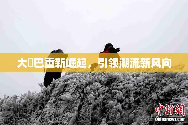 大鳮巴重新崛起，引领潮流新风向